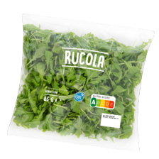 Rucola